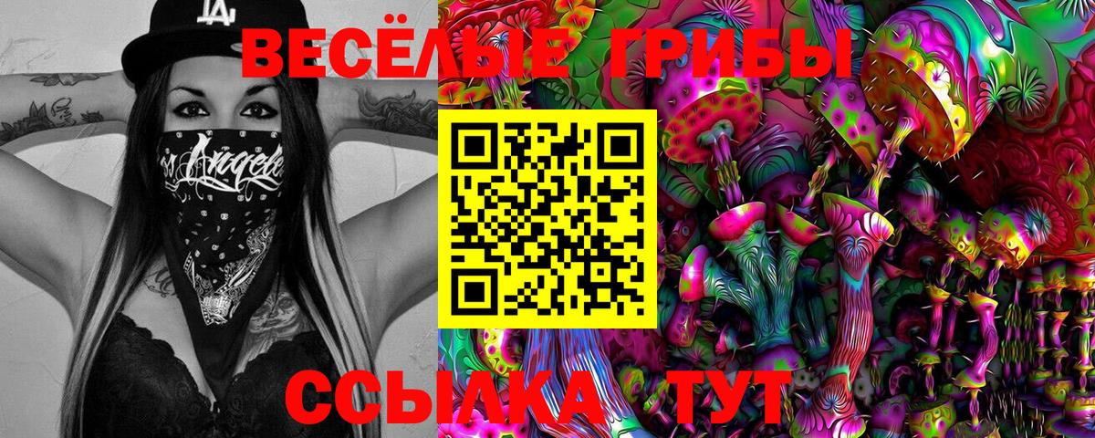 Каспийск  Псилоцибиновые грибы мухоморы  Вход с VPN 